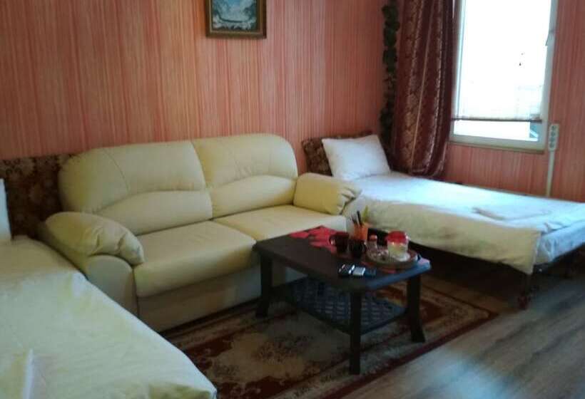 اتاق استاندارد, Guest House Vostryakovo