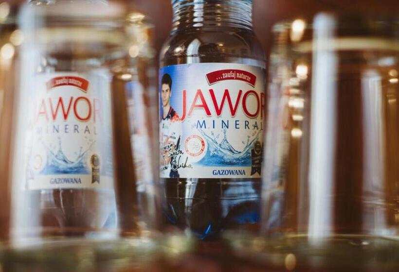 スタンダードトリプルルーム, Piotr Spa & Wellness