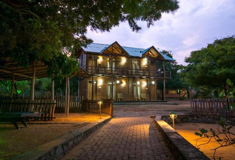 标准间, Yala Caravan Village