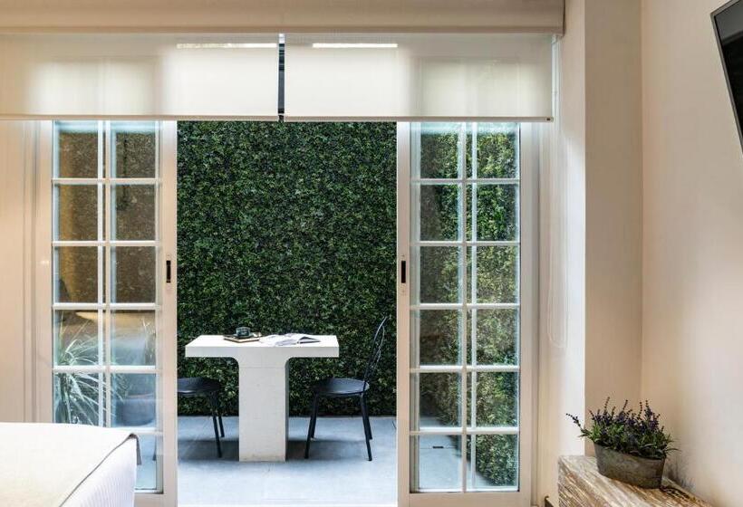 1 Bedroom Apartment with Terrace, Reforma Guest House