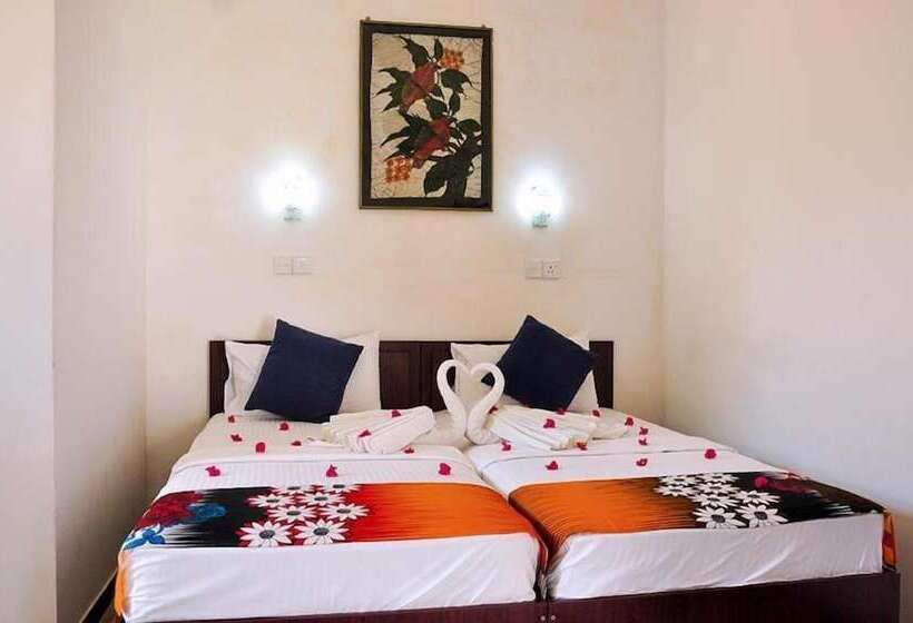 디럭스 룸, New Star Light