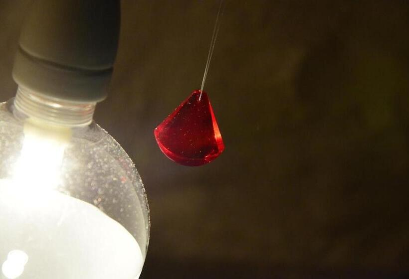 Üç Kişilik Standart Oda, Palais La Nasse