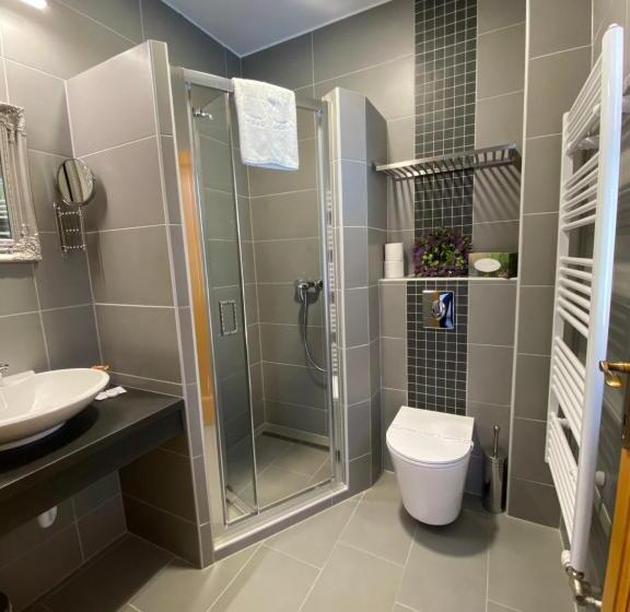 اتاق استاندارد با تراس, Rigótanya Relax & Wellness Panzió Bükfürdő