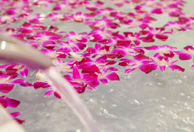 Номер Deluxe, Luna Ikeda