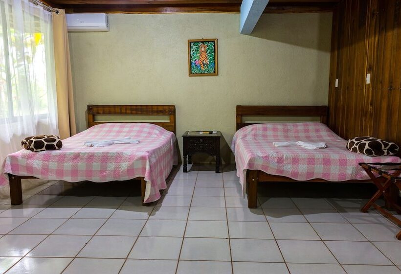 수피리어 룸, Arenal Monara