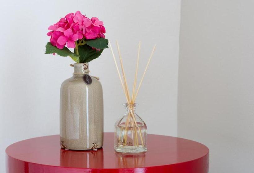 غرفة قياسية, Kocour