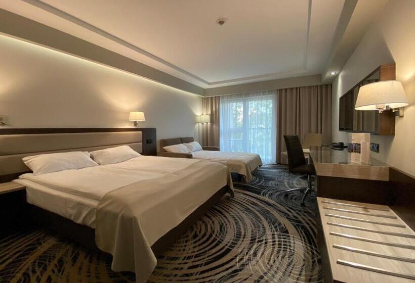 اتاق لوکس خانوادگی, Ambasador Premium