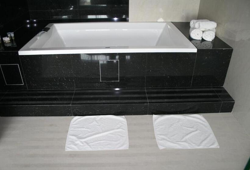 آپارتمان دوبلکس 1 خوابه, Ambasador Premium