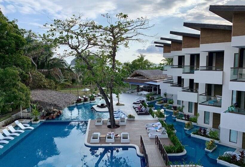 주니어 스위트 킹사이즈 침대, Amira