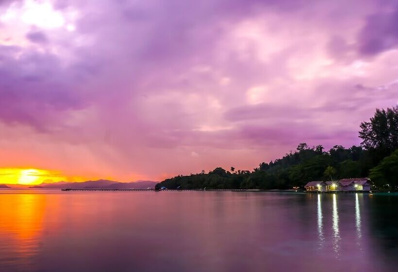 Одноместный Номер Стандарт Двуспальная Кровать, Hamueco Dive Resort Raja Ampat