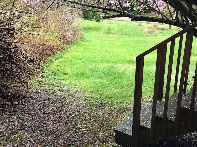 جناح سرير ملكى, Alexander S Lodge