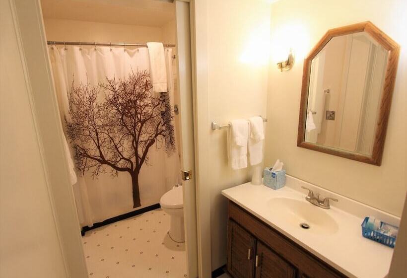 جناح سرير كينج, Alexander S Lodge