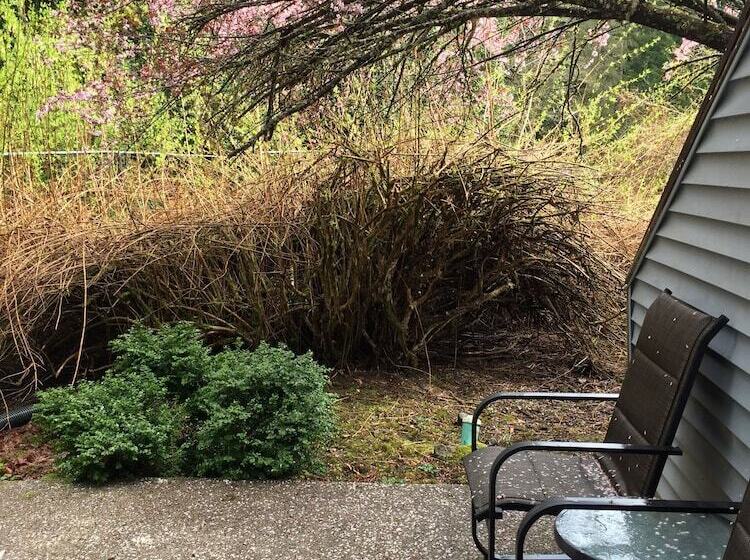 جناح سرير كينج, Alexander S Lodge