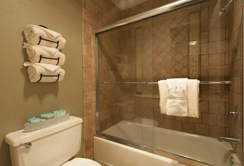 דירת שני חדרים, Austria Hof Lodge