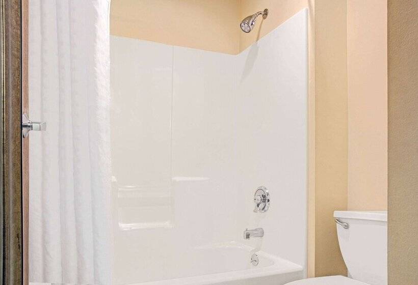 Номер Стандарт 2 Двуспальные Кровати, Comfort Inn Conroe