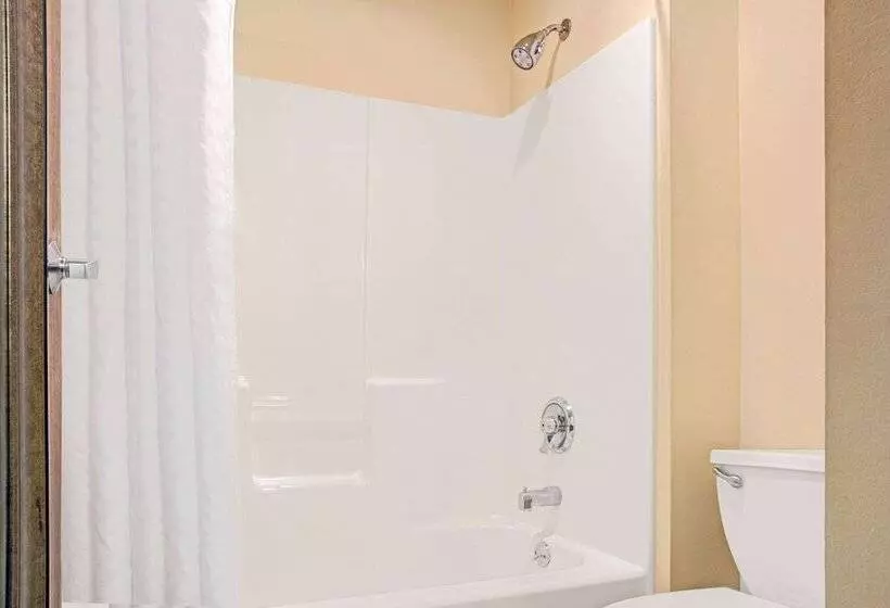 ２ダブルベッドのスタンダードルーム, Comfort Inn Conroe