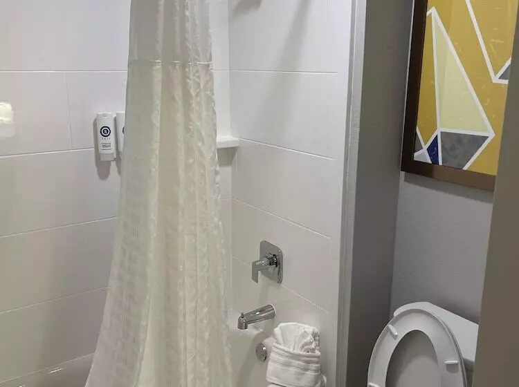 ２ダブルベッドのスタンダードルーム, Comfort Inn Conroe