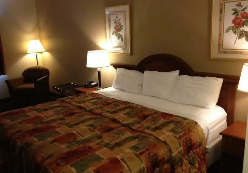 身障者適用キングサイズベッドルーム, Baymont Inn & Suites By Wyndham San Marcos