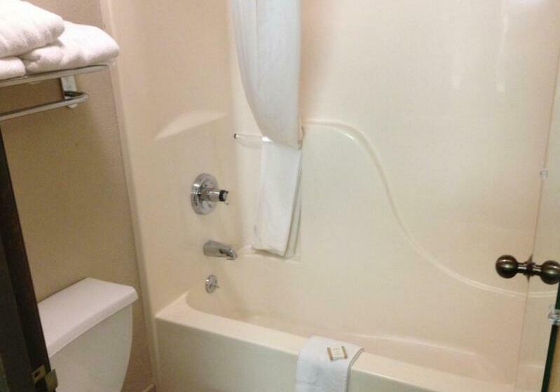 غرفة قياسية سرير كينج لذوى الإحتياجات الخاصة, Baymont Inn & Suites By Wyndham San Marcos