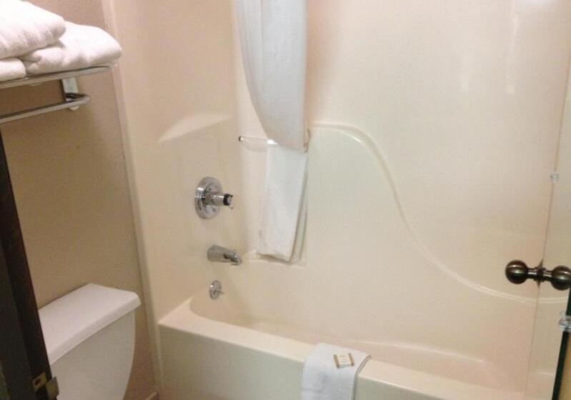 غرفة قياسية سرير كينج, Baymont Inn & Suites By Wyndham San Marcos