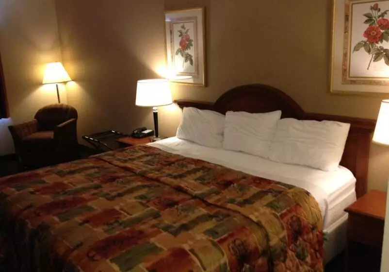 ２ダブルベッドのスタンダードルーム, Baymont Inn & Suites By Wyndham San Marcos