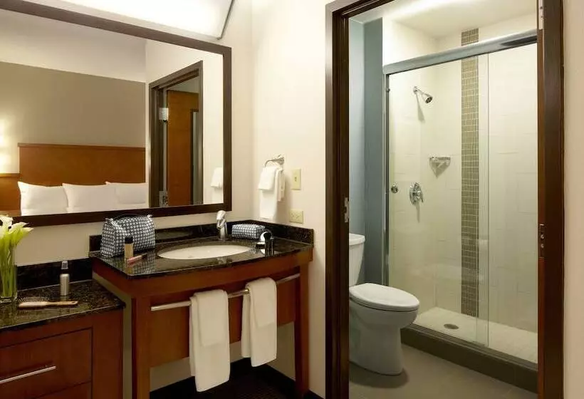２ダブルベッドのスタンダードルーム, Hyatt Place Atlanta Buckhead
