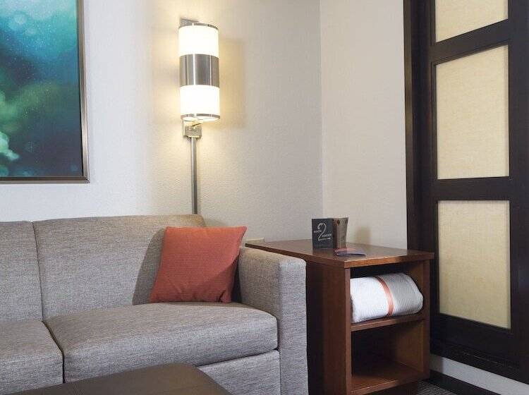 스탠다드 룸 더블 침대 2개, Hyatt Place Dallas/plano