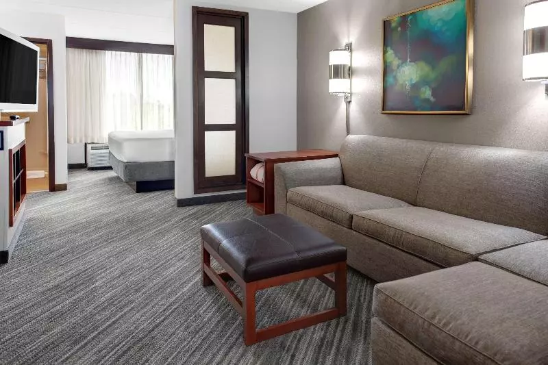 Standard-huone King-vuode, Hyatt Place Denver Airport