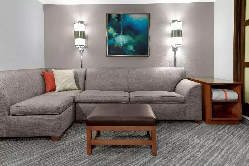 Standard-huone King-vuode, Hyatt Place Denver Airport