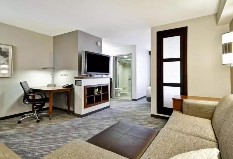 キングサイズベッドのスタンダードルーム, Hyatt Place Minneapolis Airport South