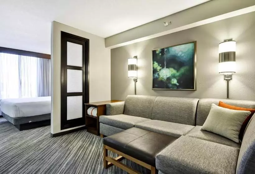 キングサイズベッドのスタンダードルーム, Hyatt Place Minneapolis Airport South
