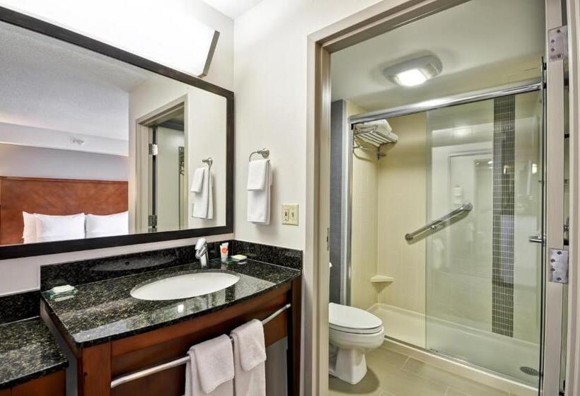 Номер Стандарт Кровать Кинг Адаптированный для Инвалидов, Hyatt Place Minneapolis Airport South