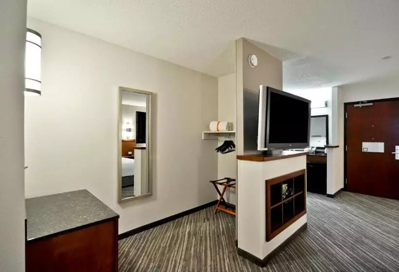 身障者適用キングサイズベッドルーム, Hyatt Place Minneapolis Airport South