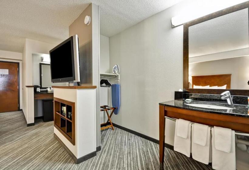 Номер Стандарт Кровать Кинг Адаптированный для Инвалидов, Hyatt Place Minneapolis Airport South