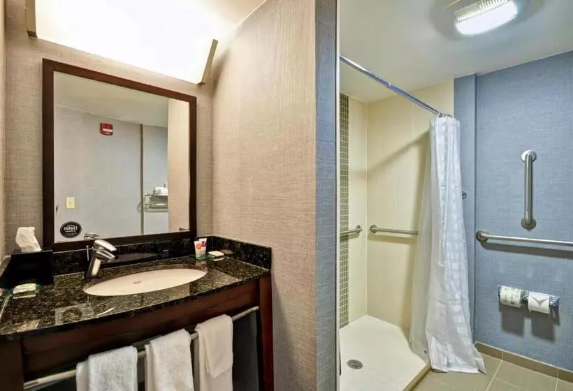 身障者適用キングサイズベッドルーム, Hyatt Place Minneapolis Airport South