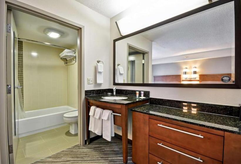 Номер Стандарт 2 Двуспальные Кровати, Hyatt Place Minneapolis Airport South