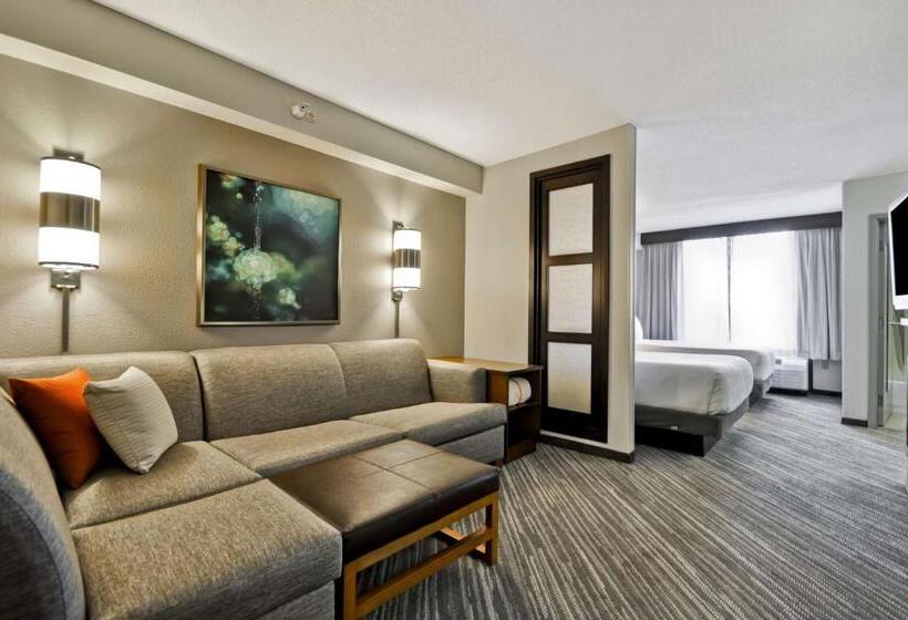スタンダードルーム, Hyatt Place Minneapolis Airport South