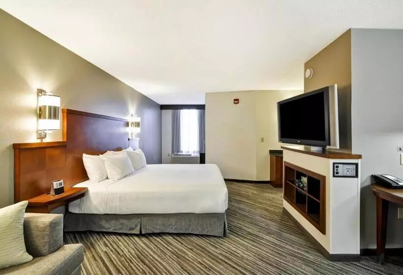 身障者適用キングサイズベッドルーム, Hyatt Place Minneapolis Airport South