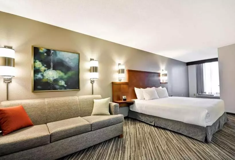 身障者適用キングサイズベッドルーム, Hyatt Place Minneapolis Airport South