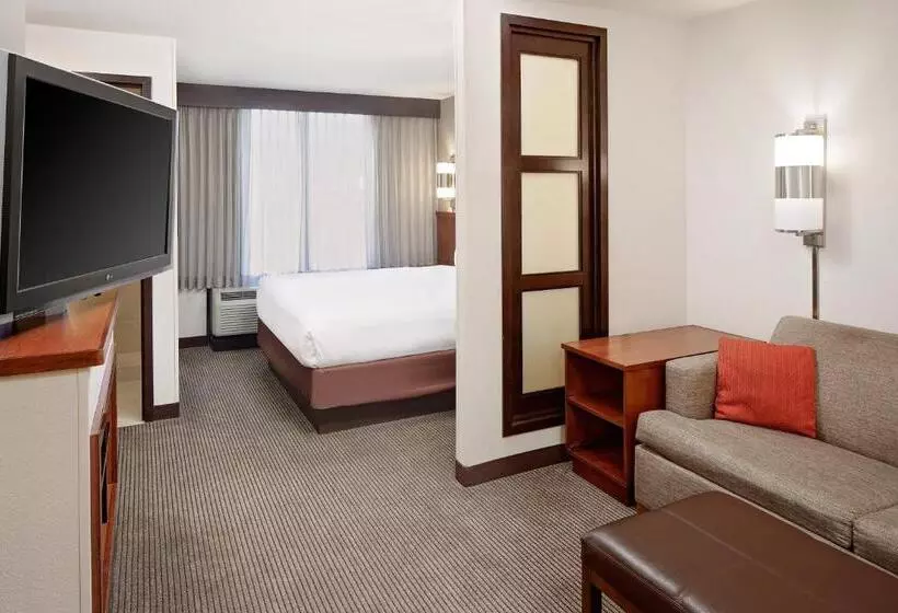 キングサイズベッドのスタンダードルーム, Hyatt Place Ontario/rancho Cucamonga