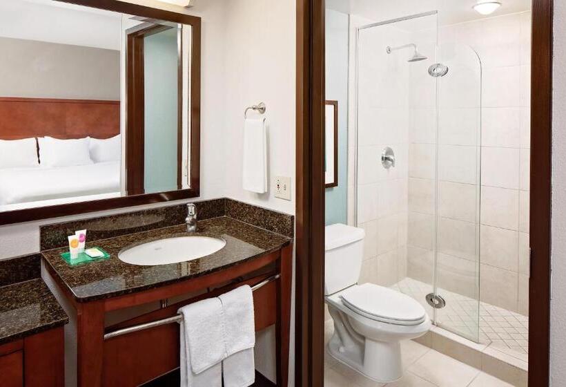 带大床的标准间, Hyatt Place Ontario/rancho Cucamonga