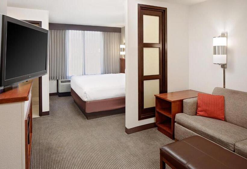 장애인을 위한 킹사이즈 침대 스탠다드 룸, Hyatt Place Ontario/rancho Cucamonga