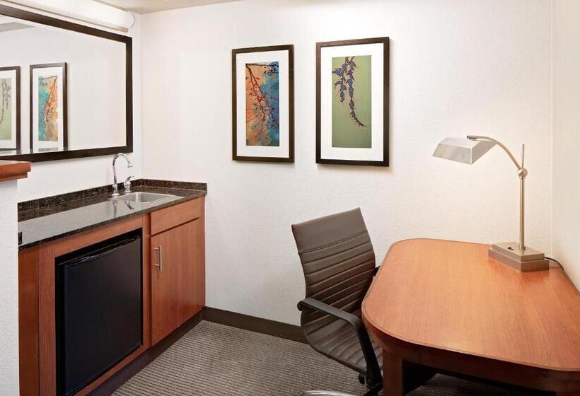 장애인을 위한 킹사이즈 침대 스탠다드 룸, Hyatt Place Ontario/rancho Cucamonga