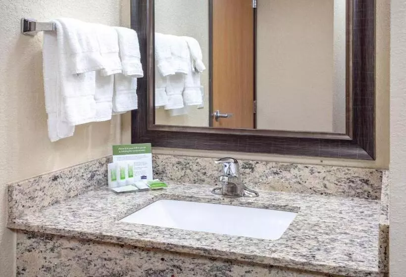 Deluxe Suite King Bed, Americinn By Wyndham Mankato Event Center Near Msu