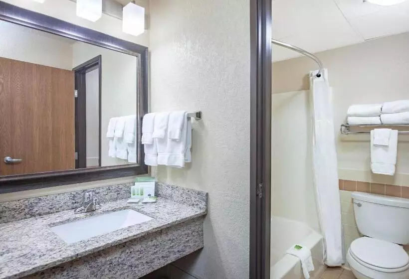 Deluxe Suite King Bed, Americinn By Wyndham Mankato Event Center Near Msu