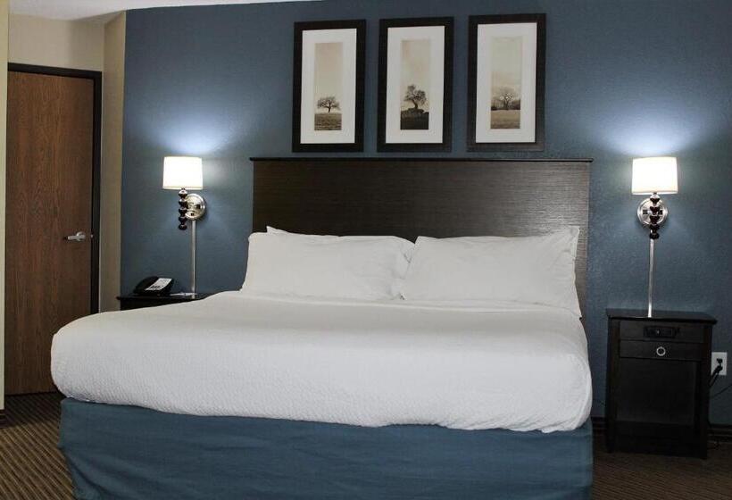 غرفة قياسية سرير كينج لذوى الإحتياجات الخاصة, Americinn By Wyndham Mankato Event Center Near Msu