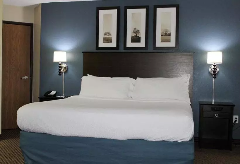 اتاق استاندارد با تخت بزرگ برای معلولان, Americinn By Wyndham Mankato Event Center Near Msu