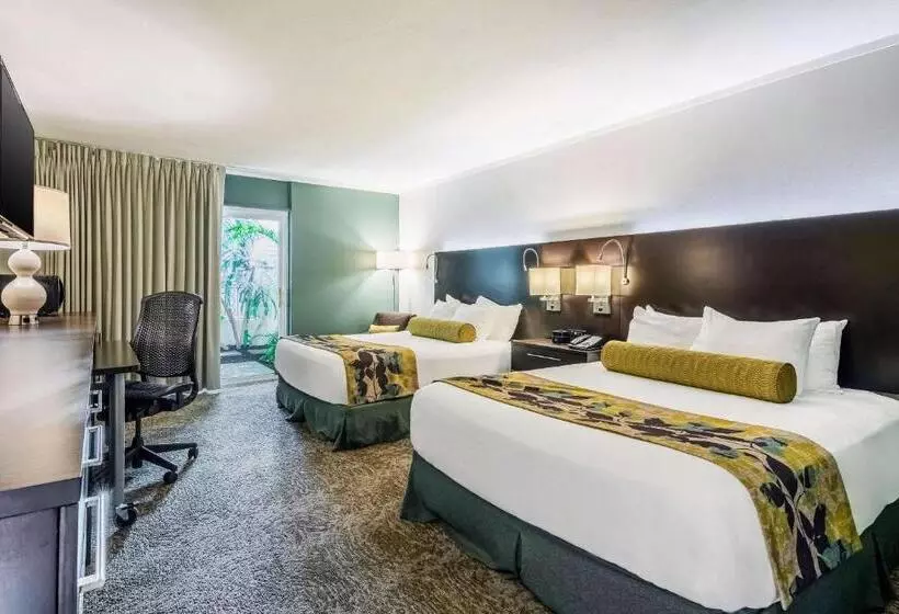 اتاق استاندارد, Oasis Hotel & Conv. Center, Ascend Hotel Collection