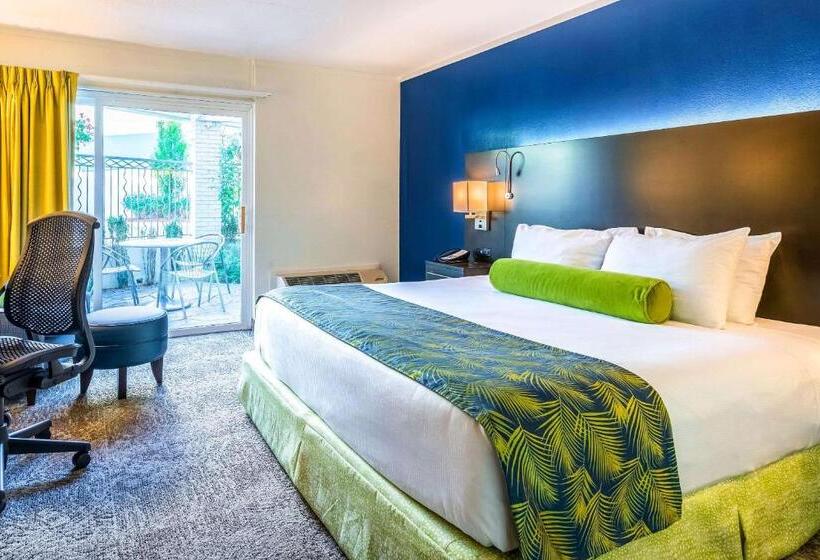 غرفة قياسية سرير كينج, Oasis Hotel & Conv. Center, Ascend Hotel Collection