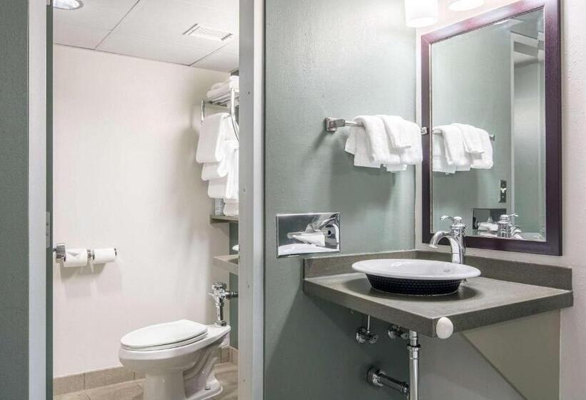 غرفة قياسية سرير كينج, Oasis Hotel & Conv. Center, Ascend Hotel Collection